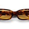 ROXIE Yellow Tortoise 6 1