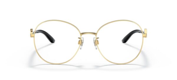 Dolce & Gabbana DG1339